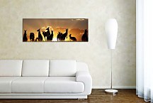 Obraz Panoráma Kengury  zs3195