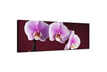 Obraz Orchidea Panoráma zs18533