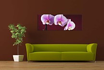 Obraz Orchidea Panoráma zs18533