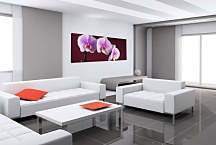 Obraz Orchidea Panoráma zs18533