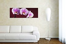 Obraz Orchidea Panoráma zs18533