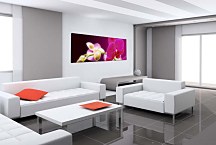 Obraz Orchidea zs18605