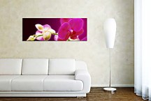 Obraz Orchidea zs18605