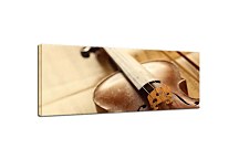 Obraz panoráma Husle zs47