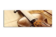 Obraz panoráma Husle zs47