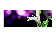 Obraz Panoráma Kvet zs18615