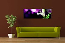 Obraz Panoráma Kvet zs18615