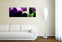 Obraz Panoráma Kvet zs18615