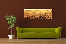 Obraz Panoráma Pole zs3204