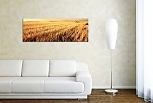 Obraz Panoráma Pole zs3204