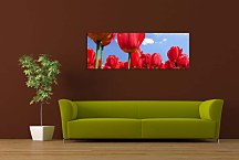 Obraz Panoráma Tulipán zs89
