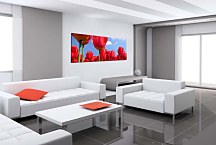 Obraz Panoráma Tulipán zs89