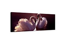 Obraz Panoráma Labute zs3177