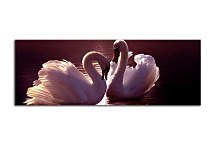 Obraz Panoráma Labute zs3177