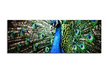 Obraz Panoráma Zvieratá zs133