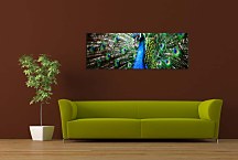 Obraz Panoráma Zvieratá zs133