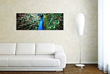 Obraz Panoráma Zvieratá zs133