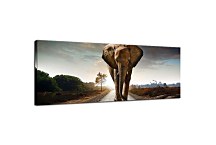 Obraz Panorámy Zvieratá zs122