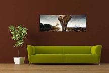 Obraz Panorámy Zvieratá zs122