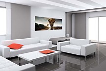 Obraz Panorámy Zvieratá zs122