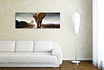 Obraz Panorámy Zvieratá zs122