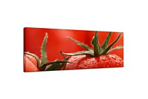 Obraz Paradajka zs18639