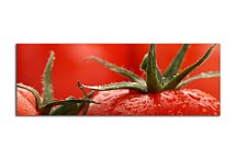 Obraz Paradajka zs18639