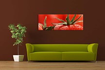 Obraz Paradajka zs18639