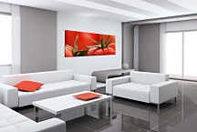 Obraz Paradajka zs18639