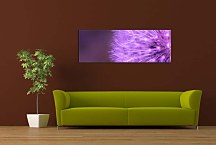 Obraz Púpava Panoráma zs18520