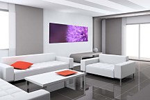 Obraz Púpava Panoráma zs18520