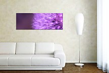 Obraz Púpava Panoráma zs18520