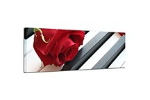 Obraz Ruža na klaviri zs10108