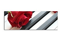 Obraz Ruža na klaviri zs10108