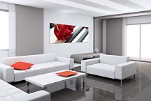 Obraz Ruža na klaviri zs10108