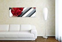 Obraz Ruža na klaviri zs10108