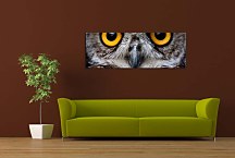 Obraz Sova zs3192
