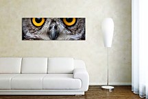Obraz Sova zs3192