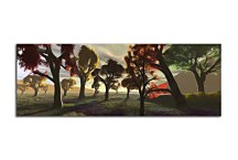 Obraz Stromy Panoráma zs432