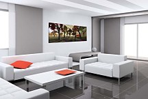 Obraz Stromy Panoráma zs432