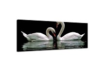 Panoráma Obraz Zvieratá zs3165