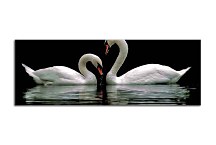 Panoráma Obraz Zvieratá zs3165