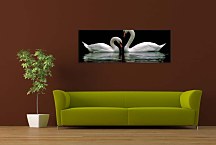 Panoráma Obraz Zvieratá zs3165