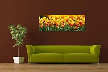 Obraz z fotografie Panoráma zs98