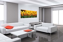 Obraz z fotografie Panoráma zs98