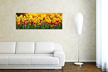 Obraz z fotografie Panoráma zs98