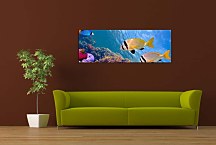 Obraz Morské rybičky zs131