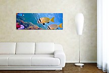 Obraz Morské rybičky zs131