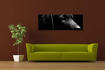 Obraz Panoráma Pes zs3164