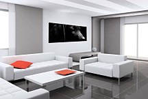 Obraz Panoráma Pes zs3164